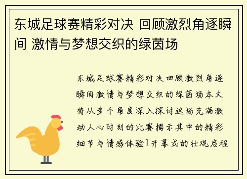 东城足球赛精彩对决 回顾激烈角逐瞬间 激情与梦想交织的绿茵场