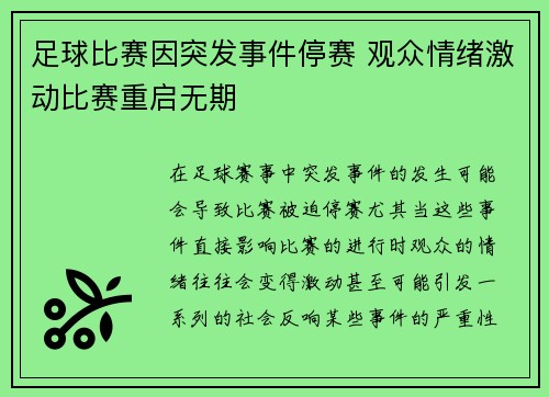 足球比赛因突发事件停赛 观众情绪激动比赛重启无期
