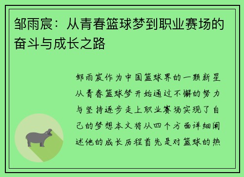 邹雨宸：从青春篮球梦到职业赛场的奋斗与成长之路