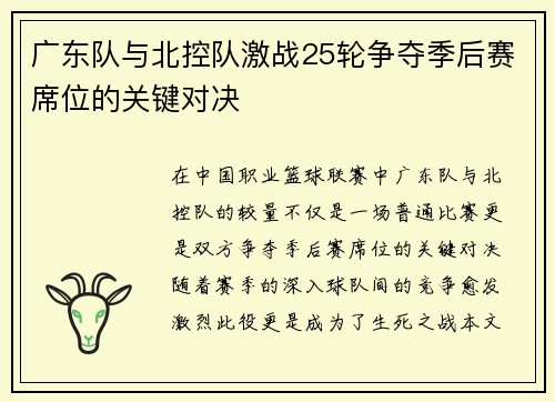 广东队与北控队激战25轮争夺季后赛席位的关键对决