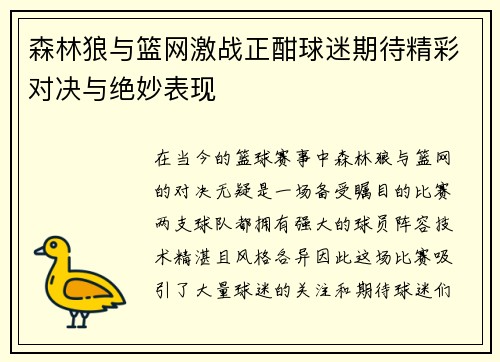 森林狼与篮网激战正酣球迷期待精彩对决与绝妙表现