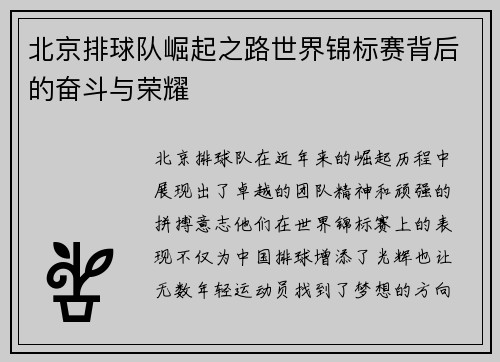 北京排球队崛起之路世界锦标赛背后的奋斗与荣耀